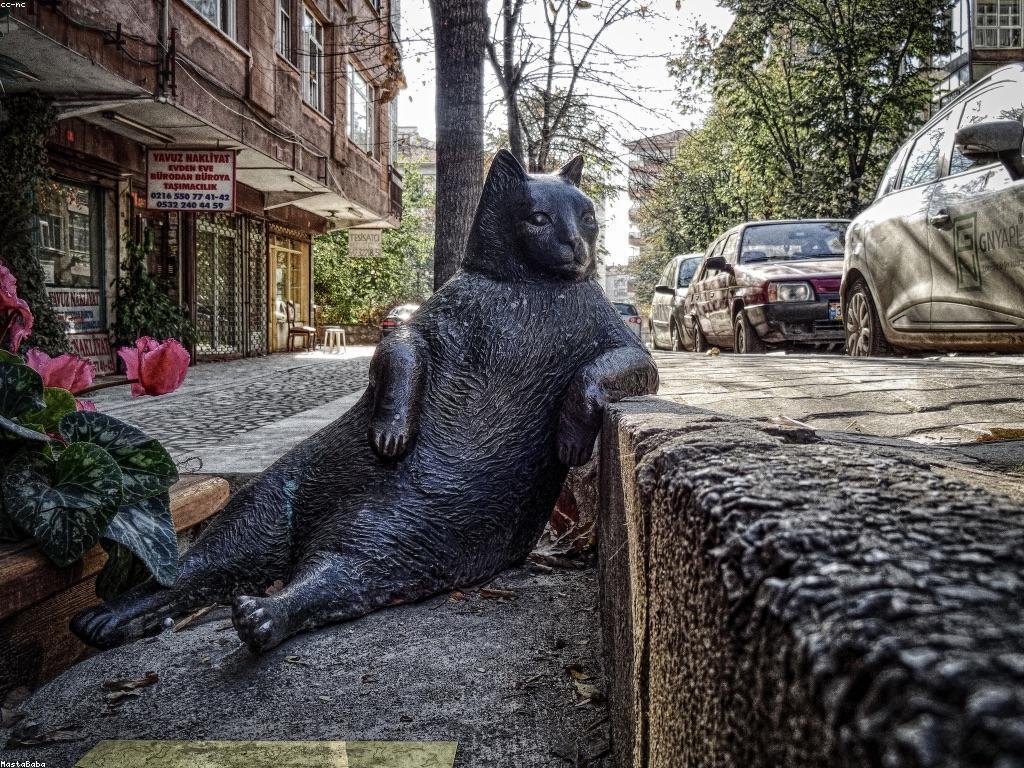 ការ​ស្រាវជ្រាវ​អំពីវប្បធម៌កាស៊ីណូ