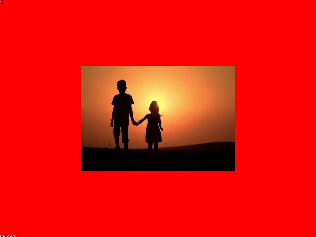 អ្វីដែលអ្នកគួរតែដឹងអំពីប្រព័ន្ធសំណាញ់