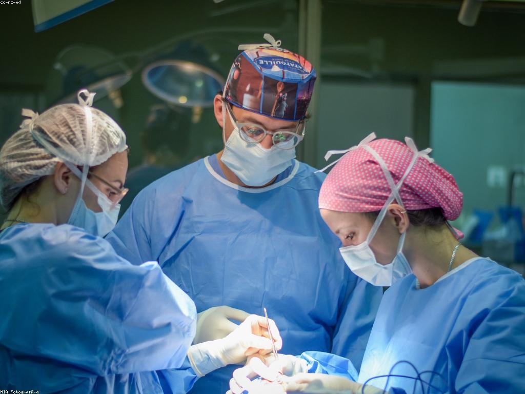 កម្មវិធីផ្សព្វផ្សាយនិងការអភិវឌ្ឍន៍អាជីវកម្ម