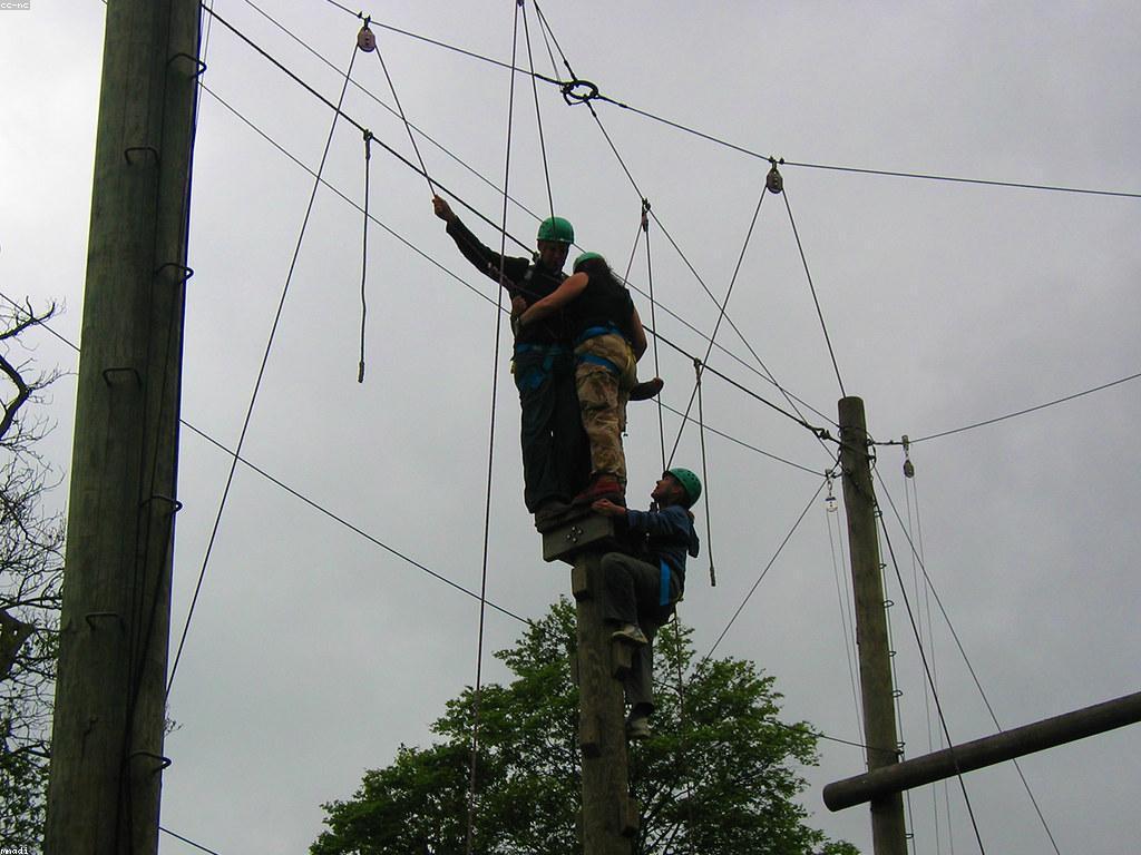 ប្រាក់និយមក្នុងកាស៊ីណូ: សមាសភាពនៃកំណត់ហេតុ ហើយនឹងខិតខំបង្កើតកាស៊ីណូ