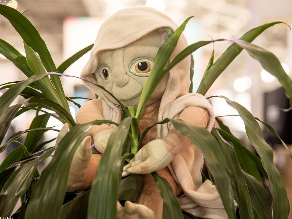 កម្មវិធីផ្សព្វផ្សាយនិងការអភិវឌ្ឍន៍អាជីវកម្ម