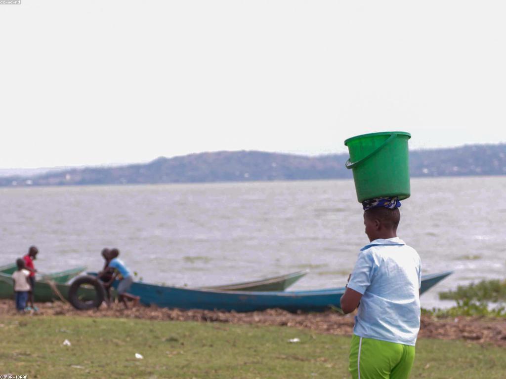 ការយល់ដឹងអំពីប្រព័ន្ធសំណាញ់នៅក្នុងភូមិសាស្ត្រ