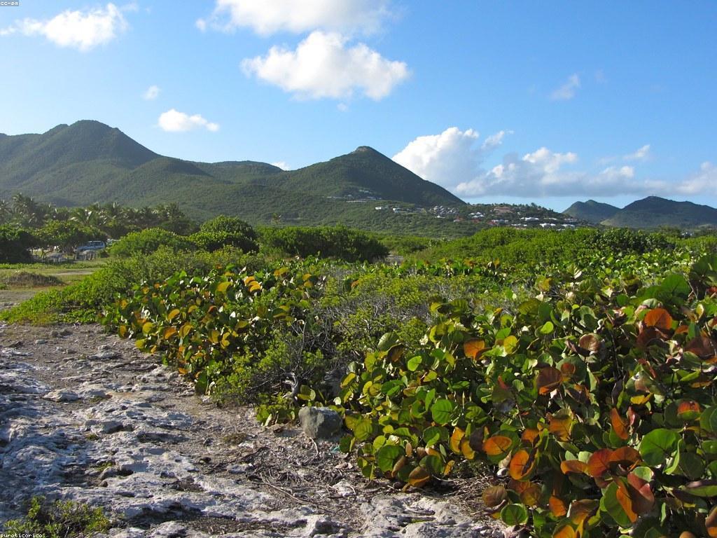 ការ​ស្រាវជ្រាវ​អំពីវប្បធម៌កាស៊ីណូ