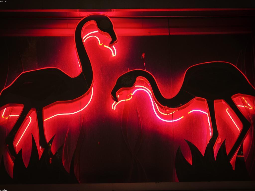 ការរីកចម្រើននៃបច្ចេកវិទ្យាកាស៊ីណូ