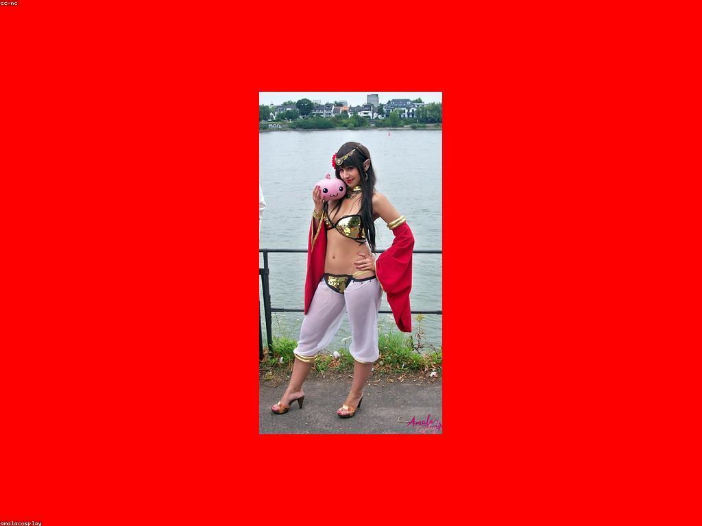 ប្រាក់និយមក្នុងកាស៊ីណូ: ការយល់ដឹងពីការប្រើប្រាស់ និងសារៈសំខាន់