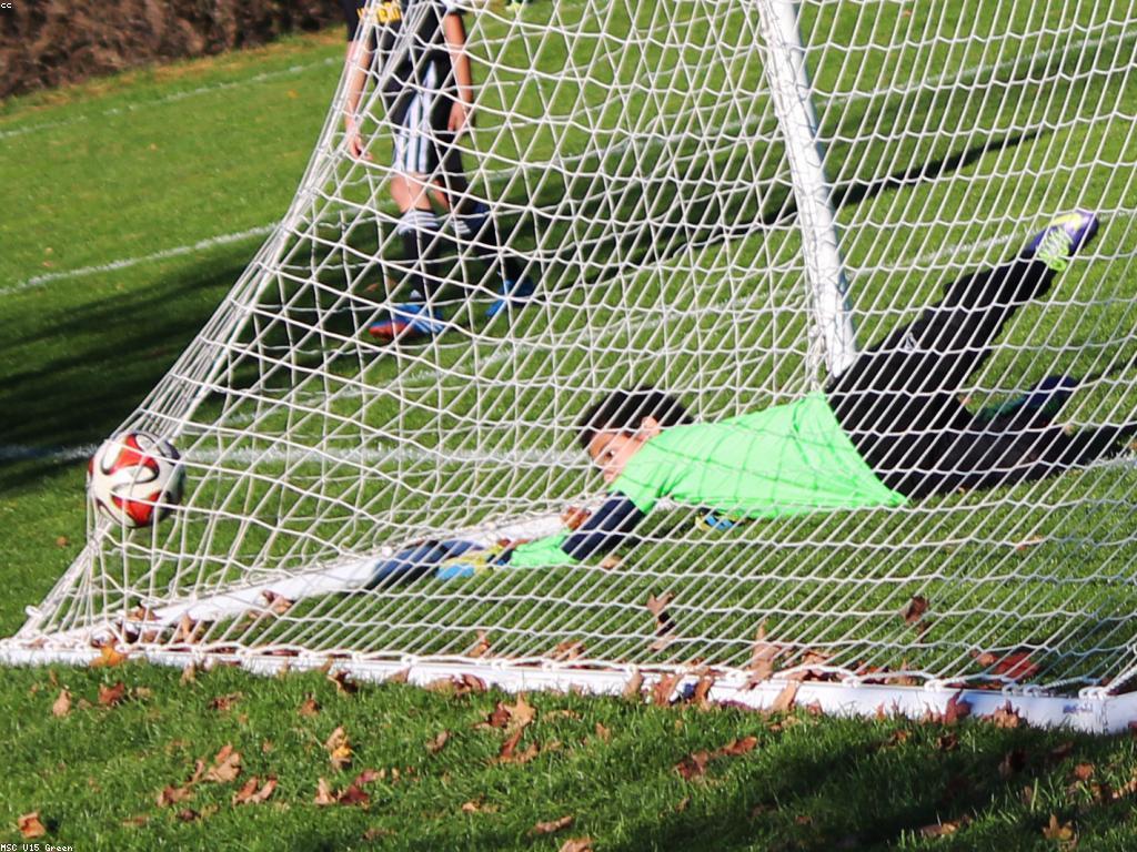 ការពិតអំពីល្បែង