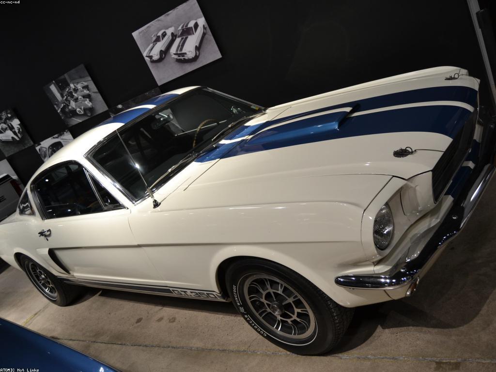 ការ​ស្រាវជ្រាវ​អំពីវប្បធម៌កាស៊ីណូ