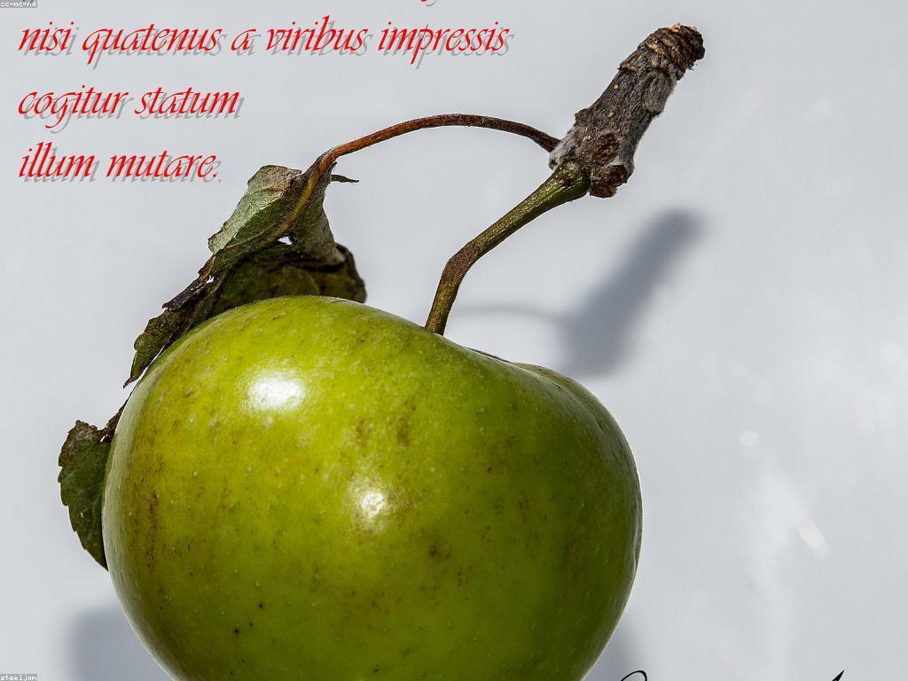 ច្បាប់ក្នុងជីវិតប្រចាំថ្ងៃ