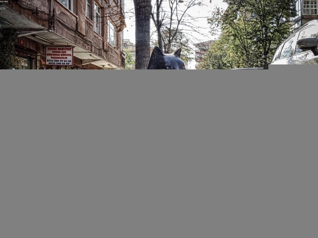 ការស្រាវជ្រាវអំពីវប្បធម៌នៃកាស៊ីណូ